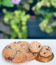 Load image into Gallery viewer, gluten free protein oatmeal