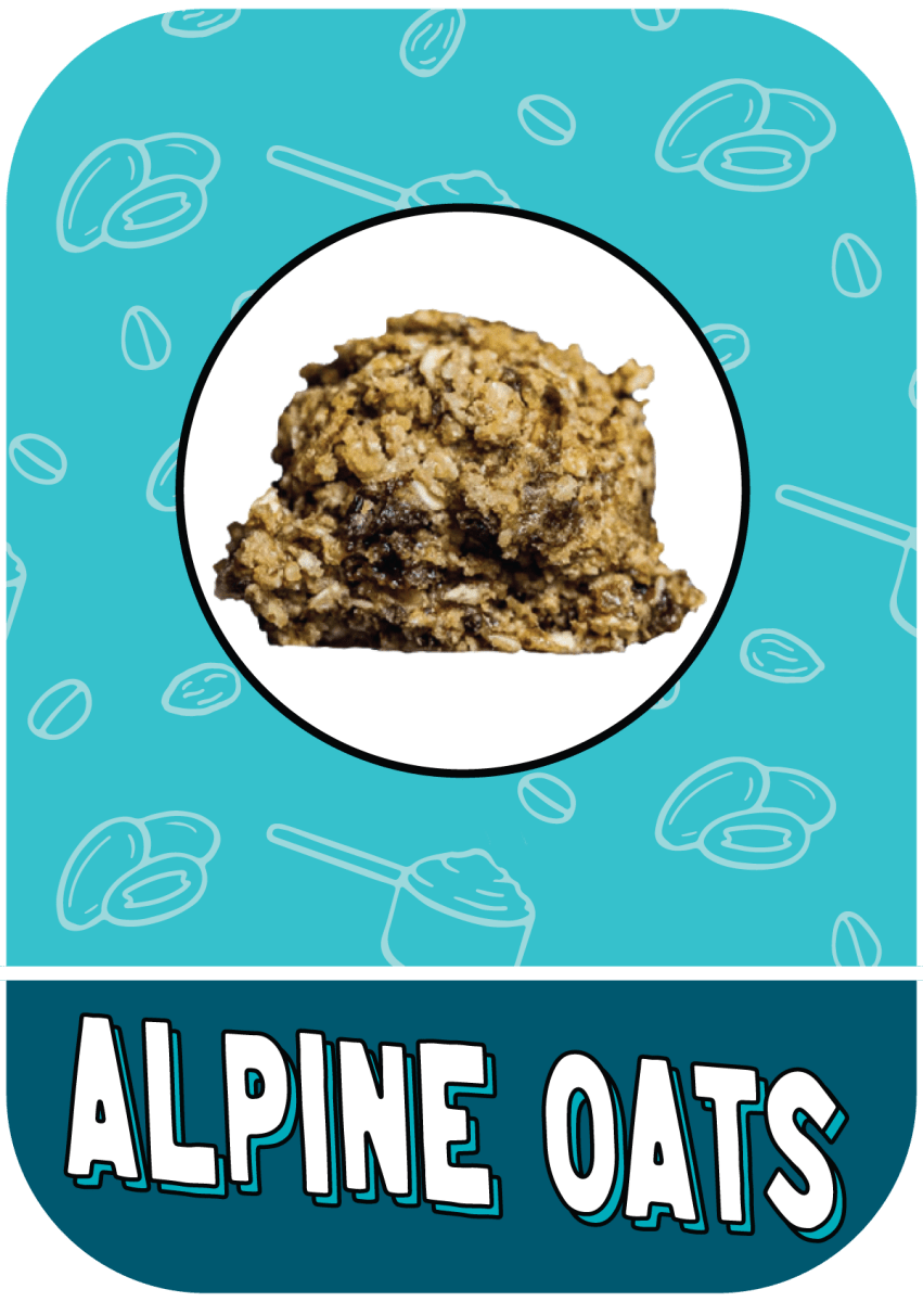 Oatmeal Raisin Cookie