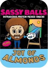 Load image into Gallery viewer, travel protein snacks