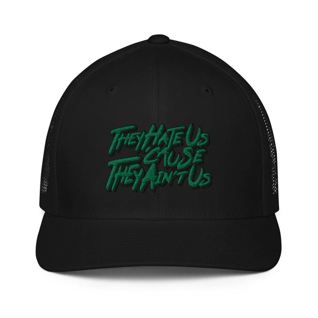 They Hate Us 'Cause They Ain't Us Fitted