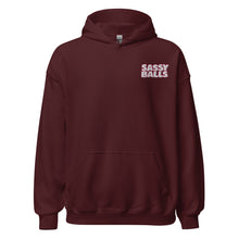 Load image into Gallery viewer, Hoodie Talkin&#39; Sass
