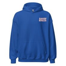 Load image into Gallery viewer, Hoodie Talkin&#39; Sass
