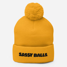 Load image into Gallery viewer, Pom-Pom Beanie Sassy Balls
